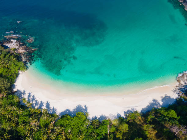 istock Aerial view of beach 1318581386