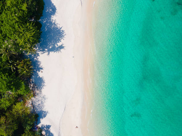 istock Beautiful beach sea. top view shot 1318582254