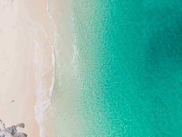 istock Aerial view (Top view) above beach sea 1318582520