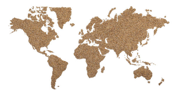 istock wold map made of wheat grains 1318582707