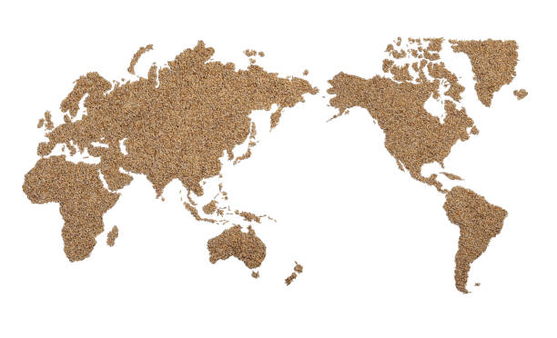 istock wold map made of wheat grains 1318583243