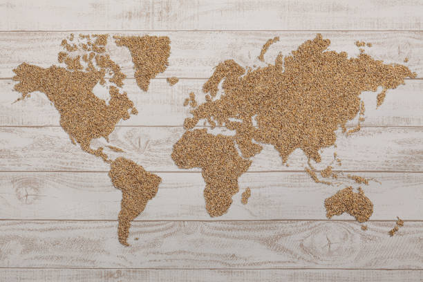 istock wold map made of wheat grains 1318583269