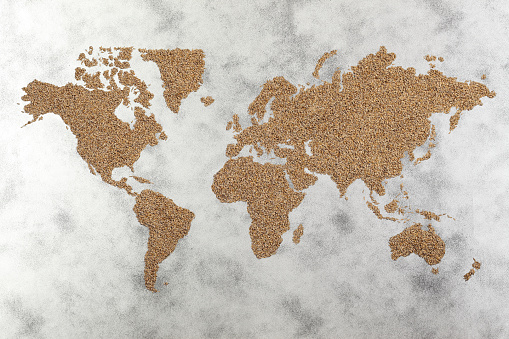 wold map made of wheat grains on textured background