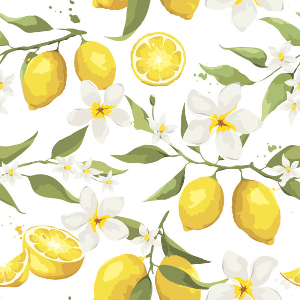 sommermuster mit zitronenzweig und jasminblüten. - botany wallpaper pattern wallpaper illustration and painting stock-grafiken, -clipart, -cartoons und -symbole