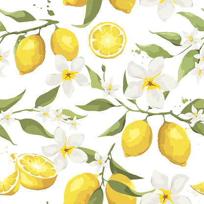 Background with citrus fruits, vector illustration, print.