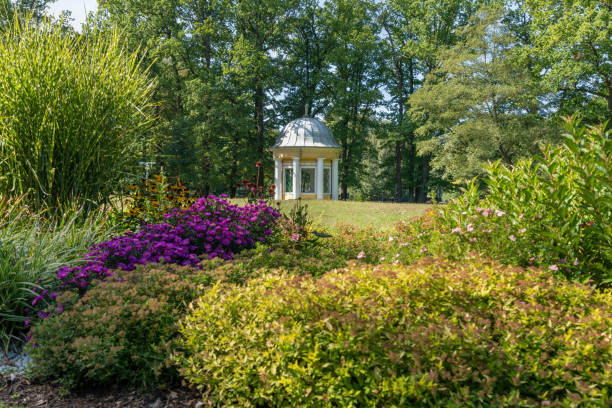 istock Spa park - Frantiskovy Lazne (Franzensbad) 1318584473