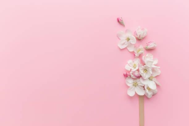 istock Flat lay on pink background with apple blossom ice cream lolly on a stick 1318584905