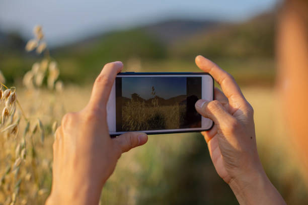 istock Take a photo by smartphone 1318587038