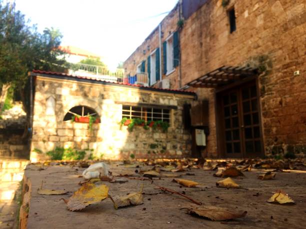 istock Byblos historical city 1318589641