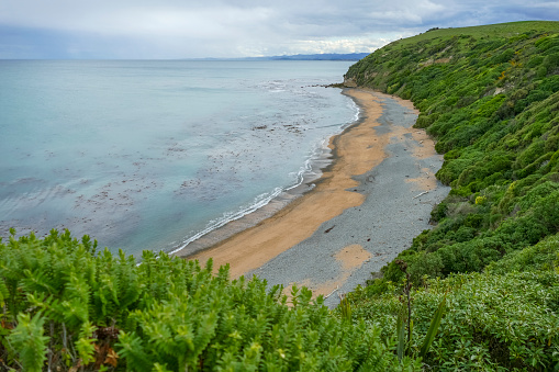Beach secnery around Oamaru at the South Island of New Zealand
