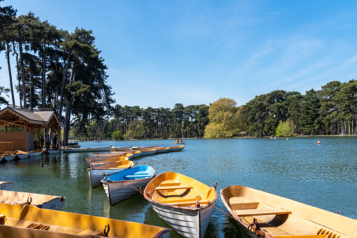 Parisinos navegando en la parte baja del lago en el Bois de Boulogne - París, Francia photo
