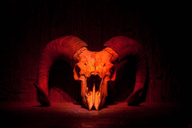 istock Red old ram skull on red wooden wall 1318593193