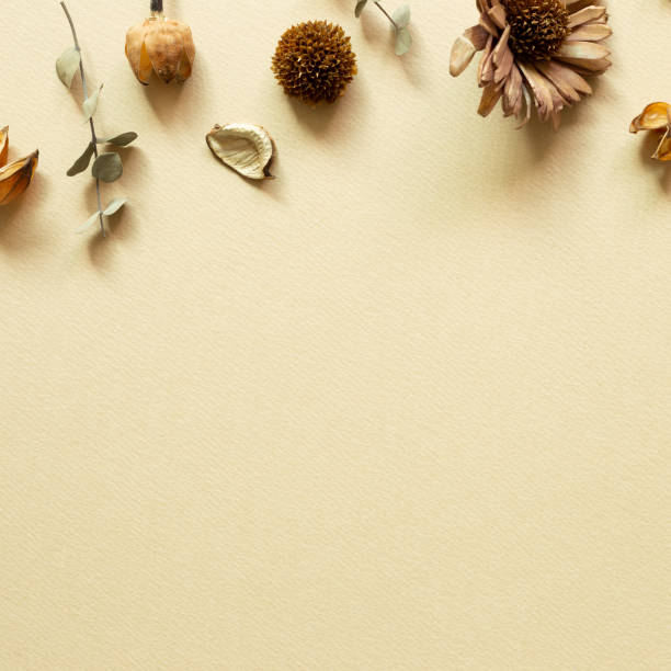 istock Dry flowers on beige background. flat lay, top view, copy space 1318594171