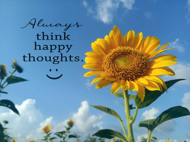 istock Sign on sunflower on bright blue sky background. Always think happy thoughts. 1318594270