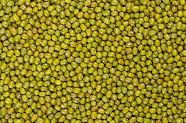 mungbohnen, getrocknete ganze grüne gramm samen, hintergrund, von oben - mung bean stock-fotos und bilder