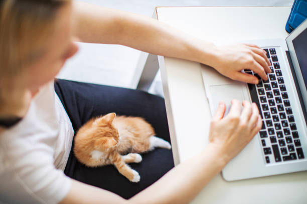 istock Woman working from home with her cats 1318596946