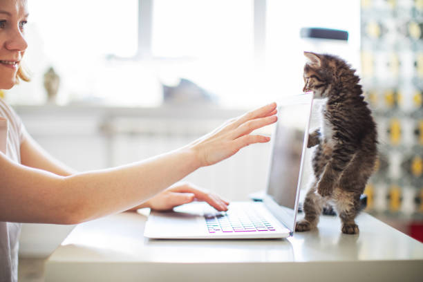 istock Woman working from home with her cats 1318596959