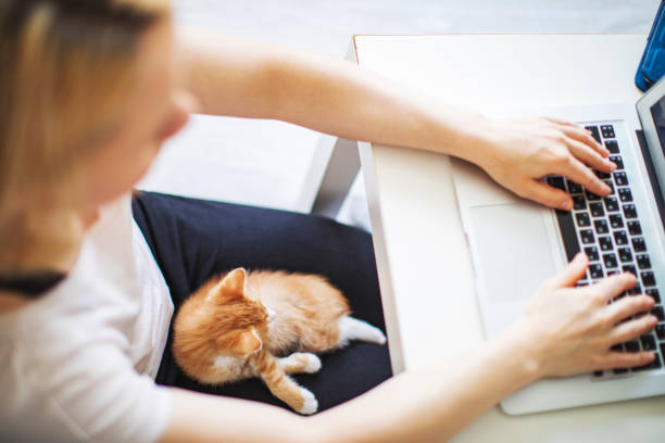 istock Woman working from home with her cats 1318596978