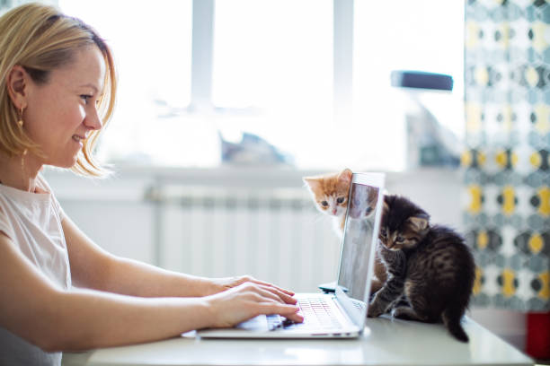 istock Woman working from home with her cats 1318597054