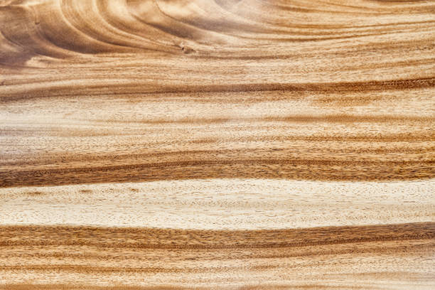 textura de borda viva suar madeira close-up como fundo - saman tree - fotografias e filmes do acervo