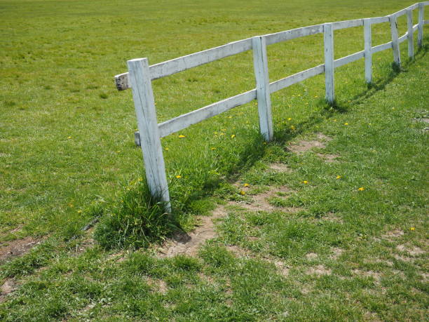 Gap in the fence. Shallow DOF.