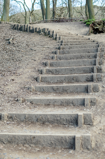 Stairs leading up towards a park with trees