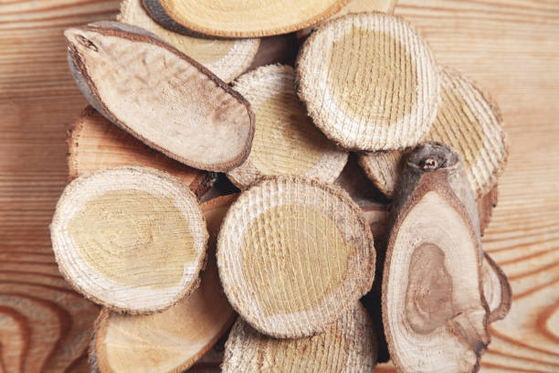 istock Slices of a tree on wooden background. 1318599399