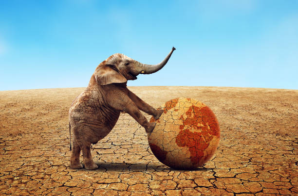 istock Lonely elephant with dry planet earth. 1318601664