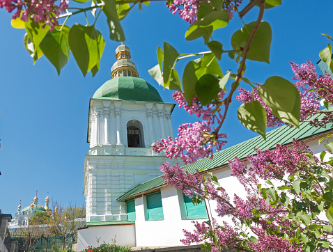 Lilac bush against the background of the dome of an Orthodox church in spring