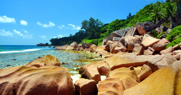 istock Anse Ants beach in La Digue Island, Indian Ocean, Seychelles. 1318602475