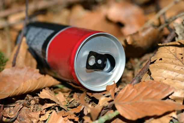 istock Empty beverage can lies as garbage in the forest. 1318605243