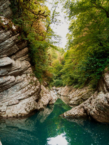 istock Blue river in canyon with rocks and trees 1318605401