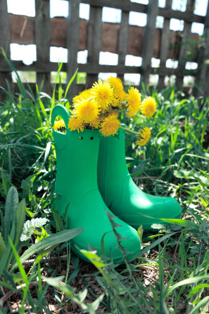 istock Rubber boots with flowers in green meadow 1318607276
