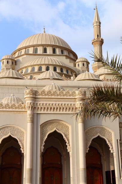 istock Mosque Al Noor in Sharjah 1318609609