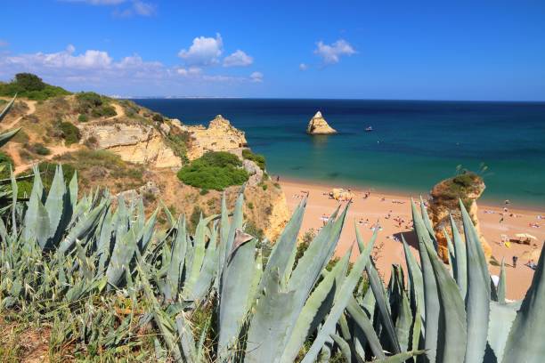 istock Algarve beach in Portugal 1318609900