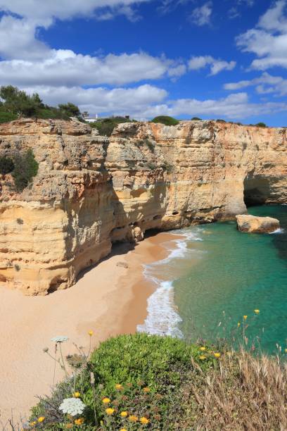 istock Portugal beach landscape 1318609920