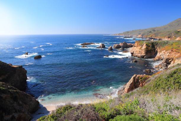 istock Spring in California - Monterey county 1318610320