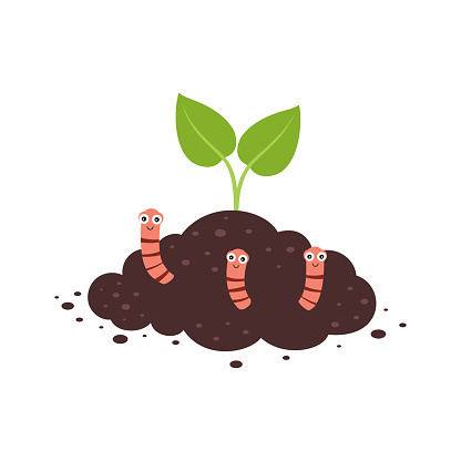 plant growth from soil with worms, worms in the ground, insects in soil, brown earth with small pink animals, green plant, flat cartoon vector illustration