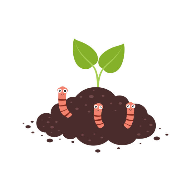 plant growth from soil with worms, vector illustration plant growth from soil with worms, worms in the ground, insects in soil, brown earth with small pink animals, green plant, flat cartoon vector illustration worm stock illustrations