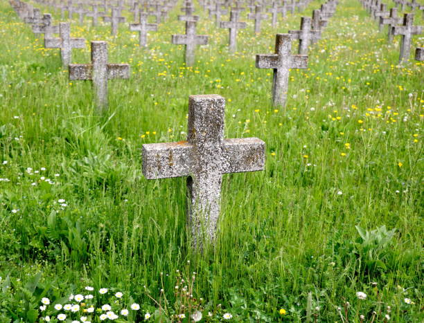istock Stone crosses  in a military cemetery 1318612507