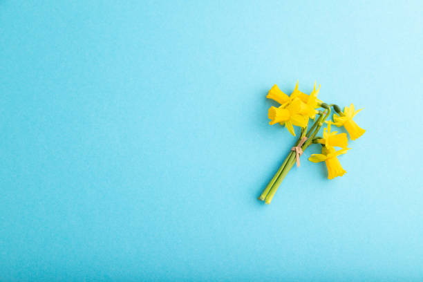 istock Spring snowdrop narcissus flowers bouquet on blue pastel background. top view, flat lay, copy space, still life. Beauty, spring concept. 1318613970