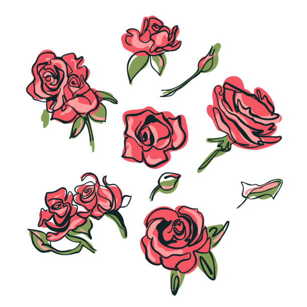 Comic Drawing Roses 450+ How To Draw A Bouquet Of Roses Cartoon Stock Photos, Pictures ...