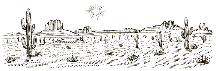 Desert landscape panorama, vector illustration. Line sketch with cactus, sunset, rocks.