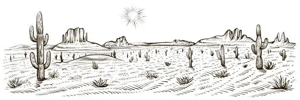 Vector illustration of Desert landscape panorama, vector illustration. Line sketch.