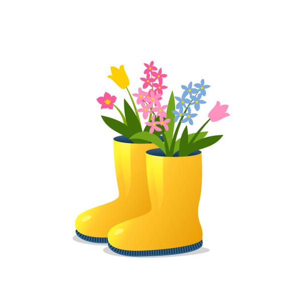 illustrations, cliparts, dessins animés et icônes de bottes en caoutchouc avec des fleurs de printemps - daffodil spring flower blue