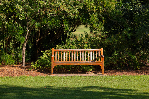 istock Wooden public bench on grass in a public park 1318624119
