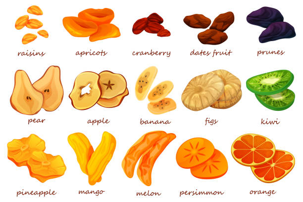 말린 과일과 열매, 마른 달콤한 간식 - dried apple stock illustrations