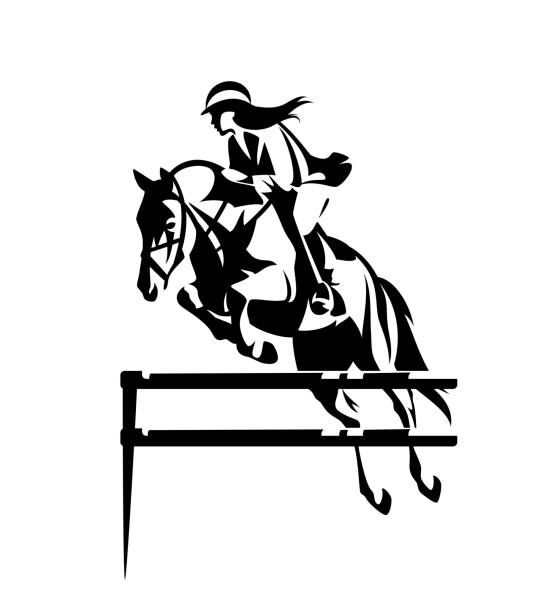 woman riding horse in show jumping competition black and white vector portrait beautiful woman riding horse during show jumping competition - equestrian sport black and white vector outline equestrian show jumping stock illustrations