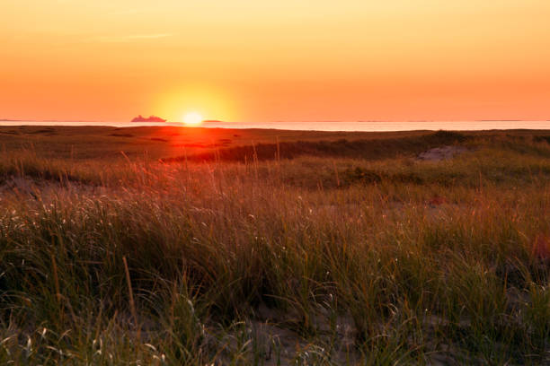Stunning autumn sunset over grassy sand dunes along a coast. A Cruise ship in navigation is visible on horizon near the bright disappearing sun. Provincetown, Cape Cod, MA, USA.