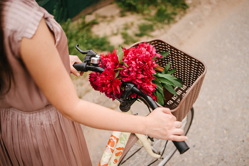 Hand holding bicycle steering wheel with basket full with red peonies
